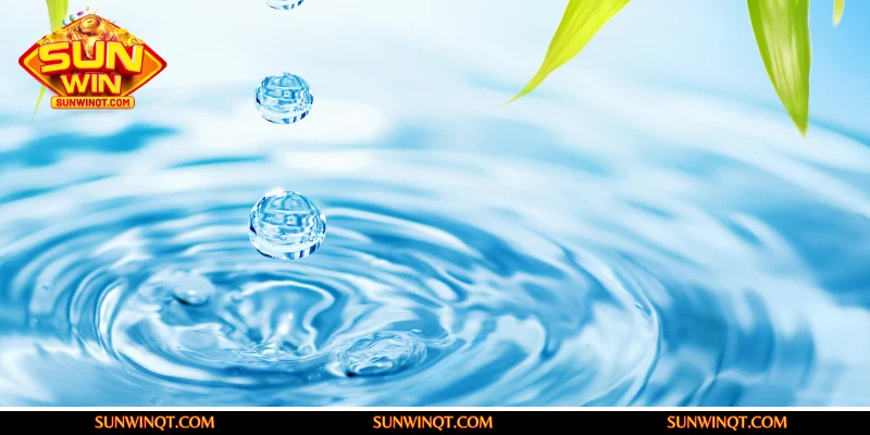 Những con số may mắn khi giải mã giấc mơ thấy nước